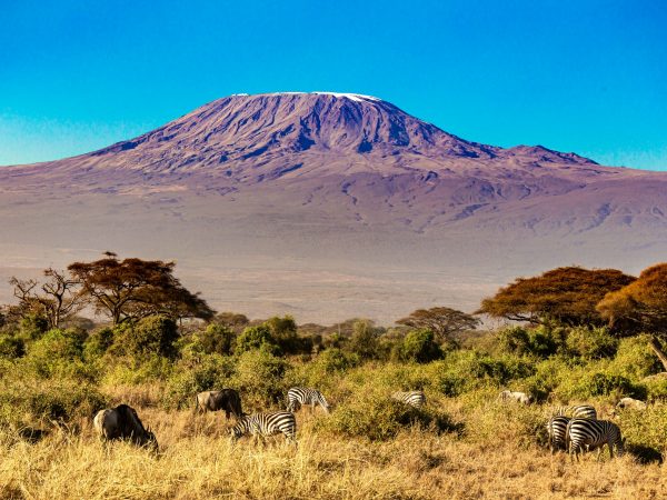 7-Day “Great Rift & Plains” Signature Safari