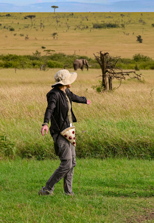 Family Friendly Tours