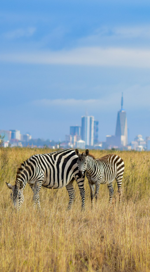 Nairobi