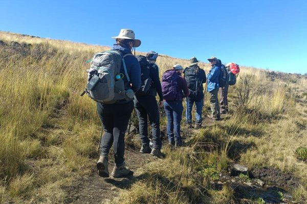 4-Day Mt. Kenya Trekking (From $650 PP)