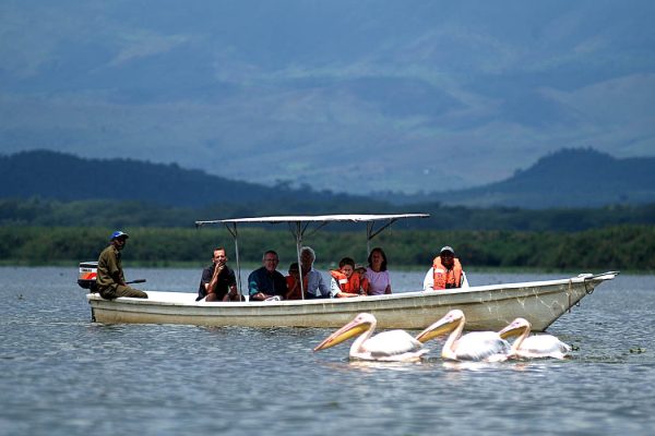 Blissful Lake Naivasha Day Trip (From $300 PP)