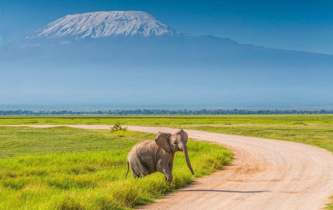 Scenic 3-Day Amboseli Safari