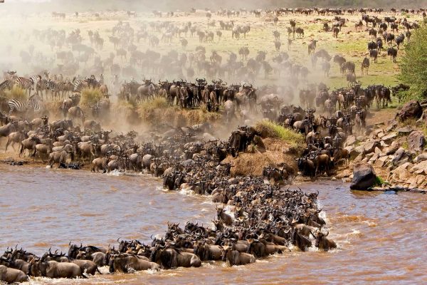 9-Day Kenya – Tanzania Safari (From $1,180 PP)