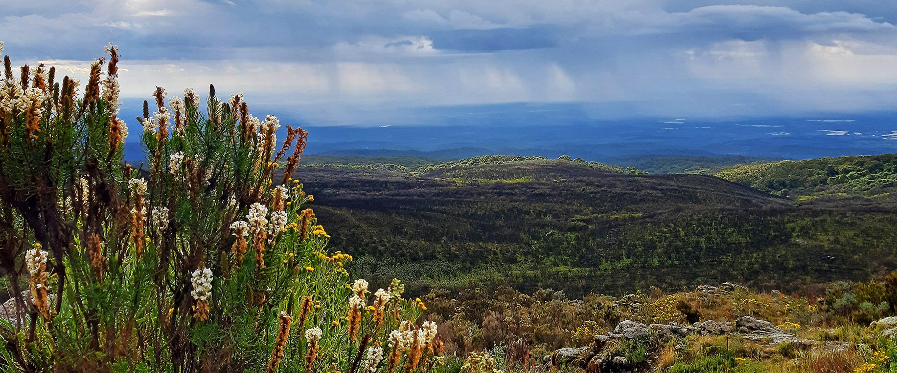 Nature Site slideshow