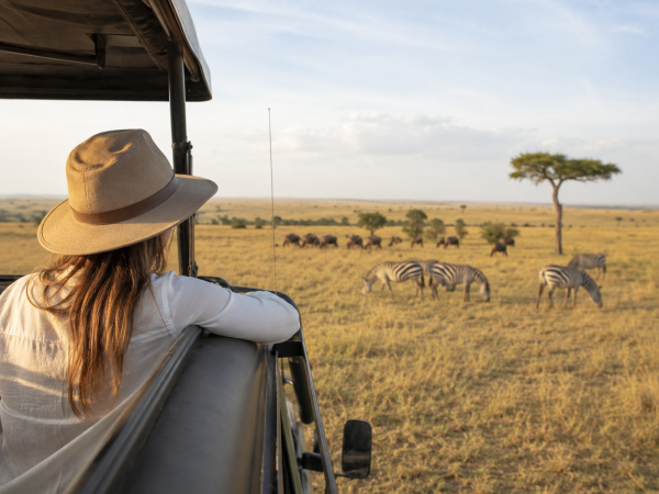 6-Day Maasai Mara, Lake Nakuru and Amboseli Safari