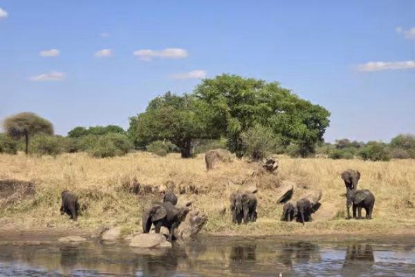 6-Day Tarangire National Park, Manyara, Serengeti National Park and Ngorongoro Crater Safari (From $1200 PP)