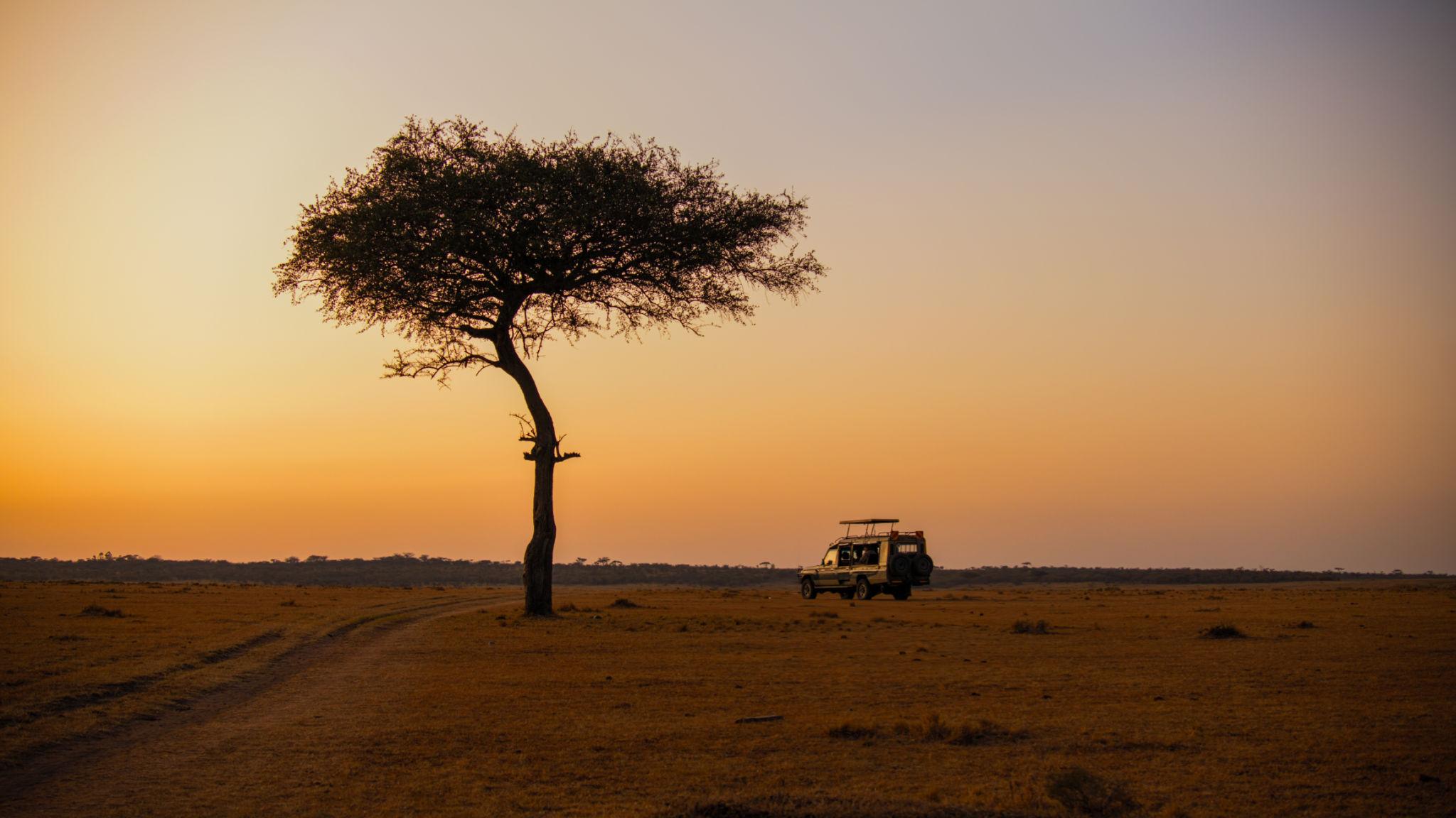 Wild Adventure Tours