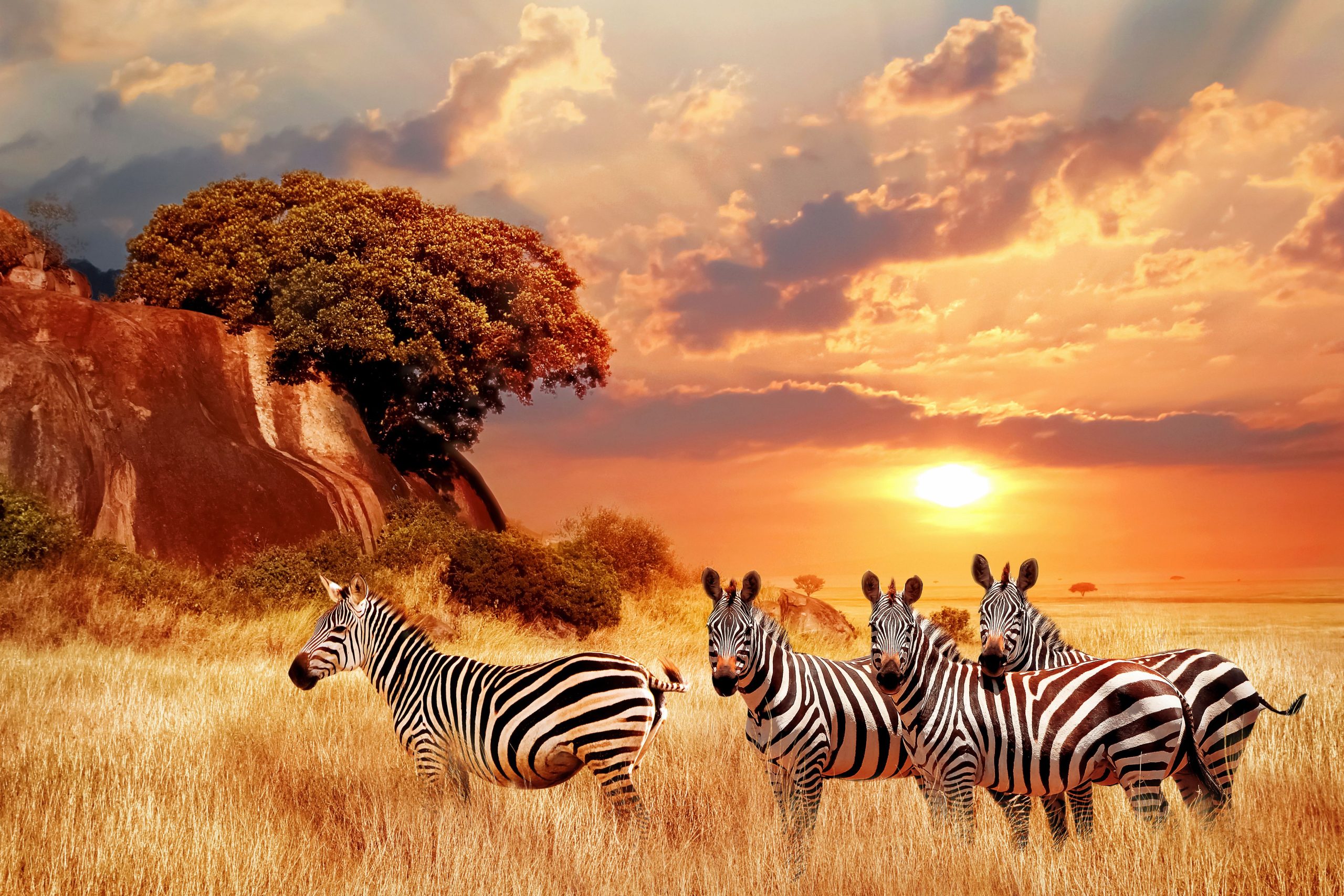 Maasai Mara