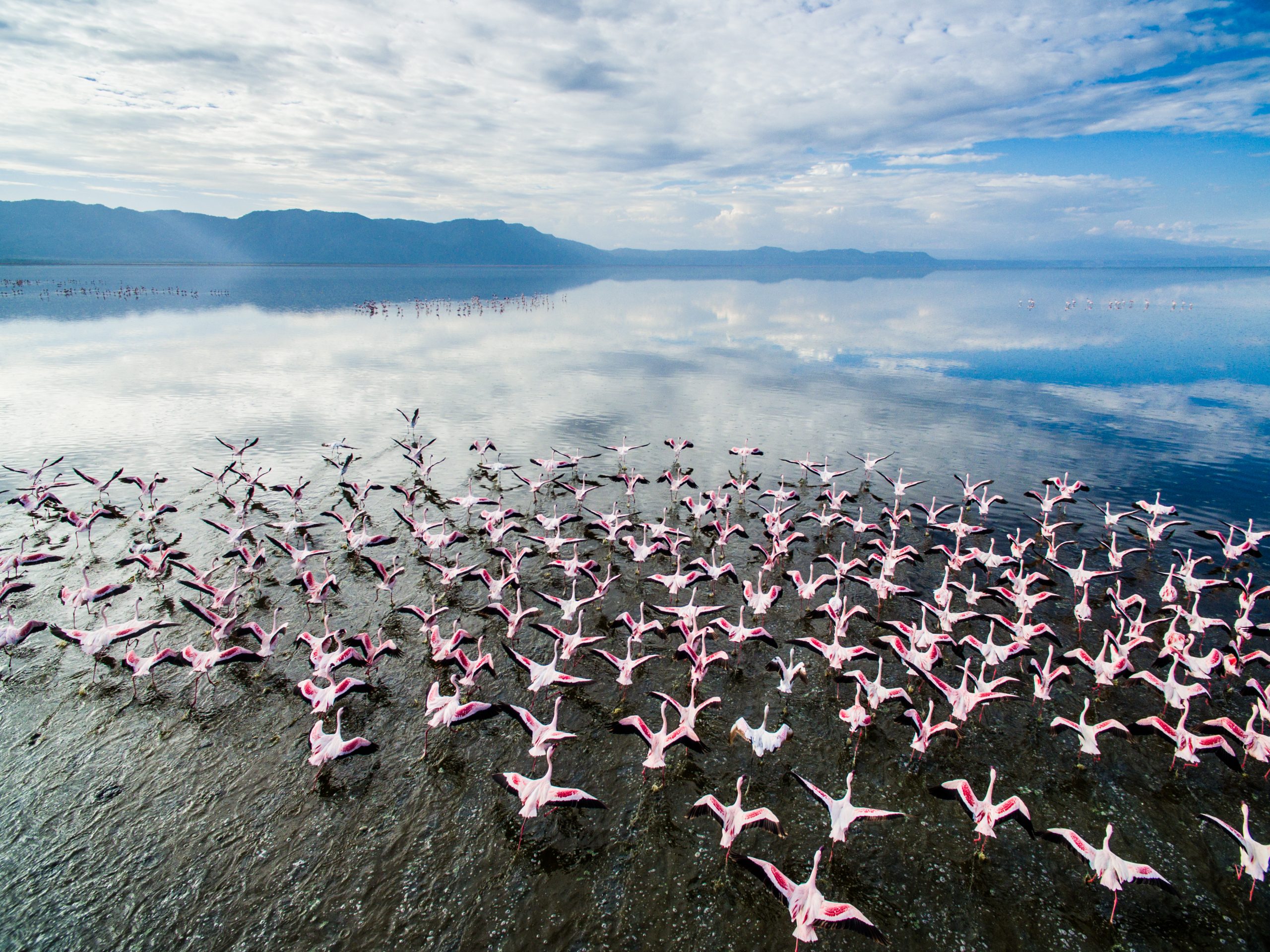 Lake Manyara