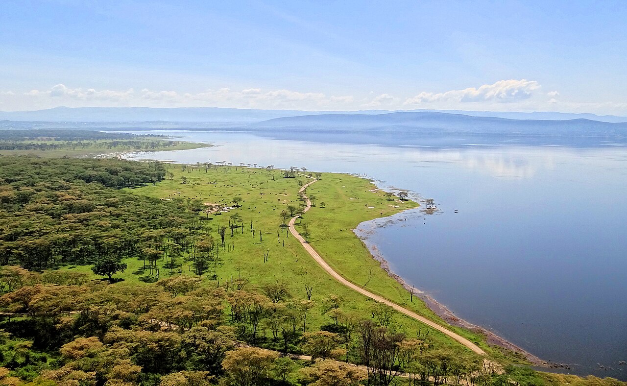 Nakuru (Lake Nakuru)