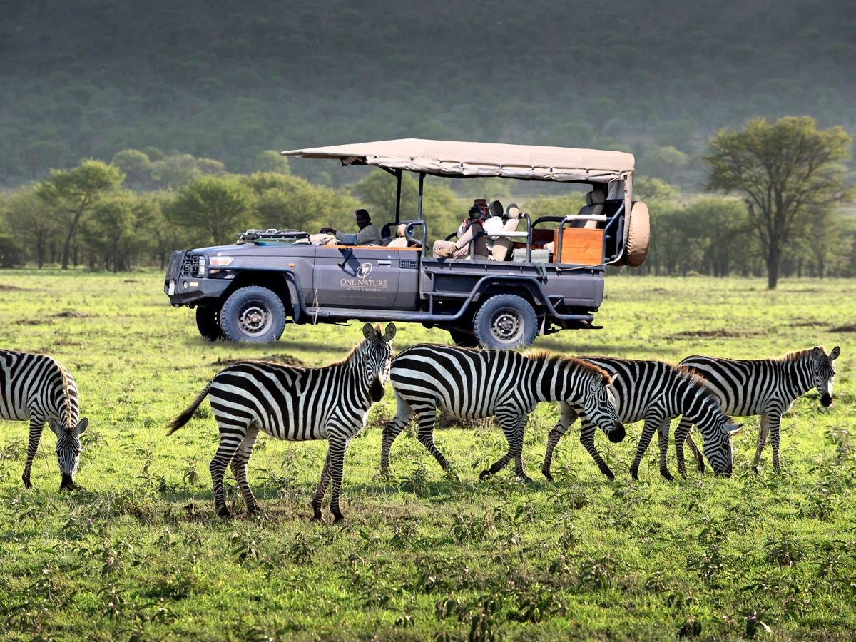 Serengeti